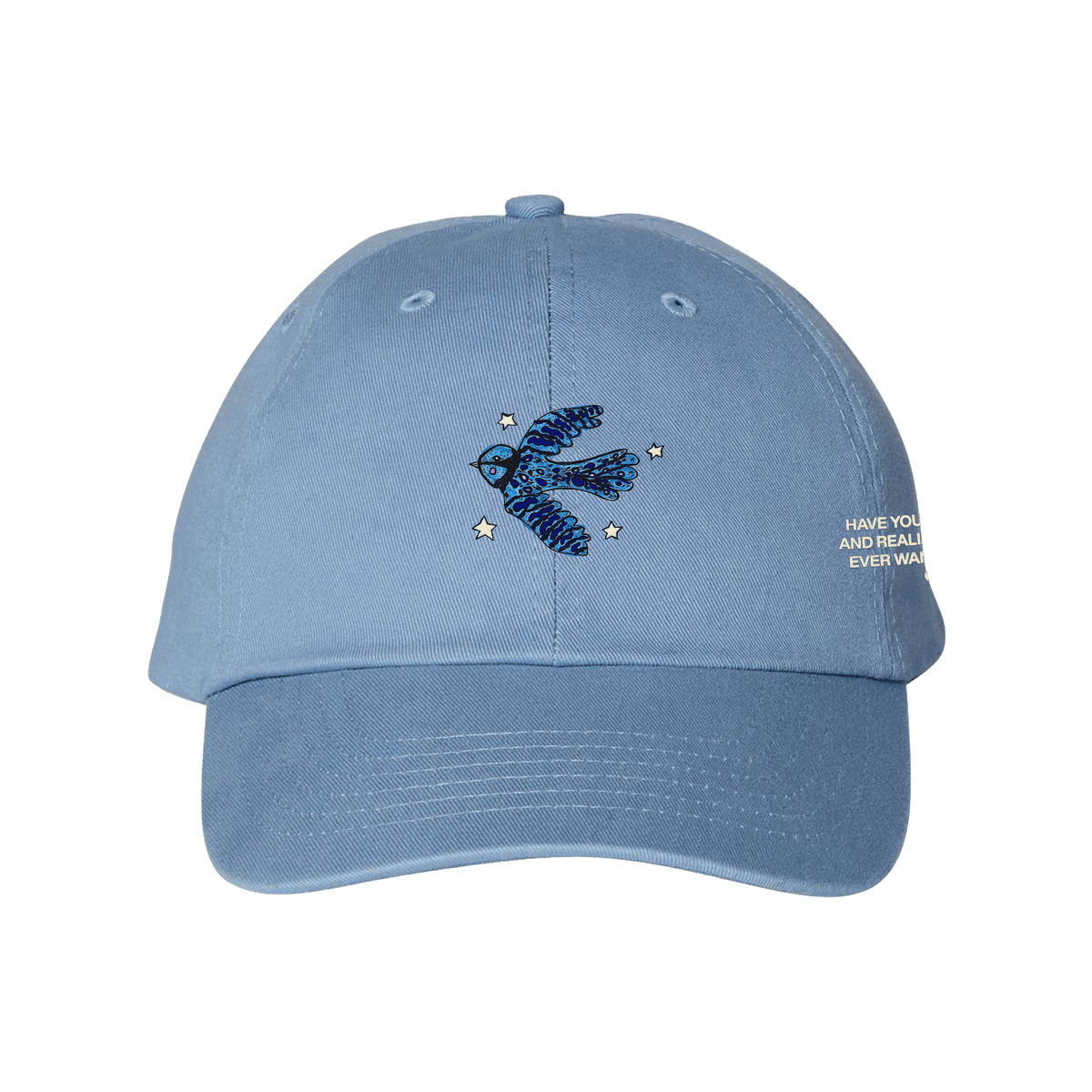 Have You Ever Blue Bird Hat (PRE-ORDER)