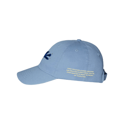 Have You Ever Blue Bird Hat (PRE-ORDER)