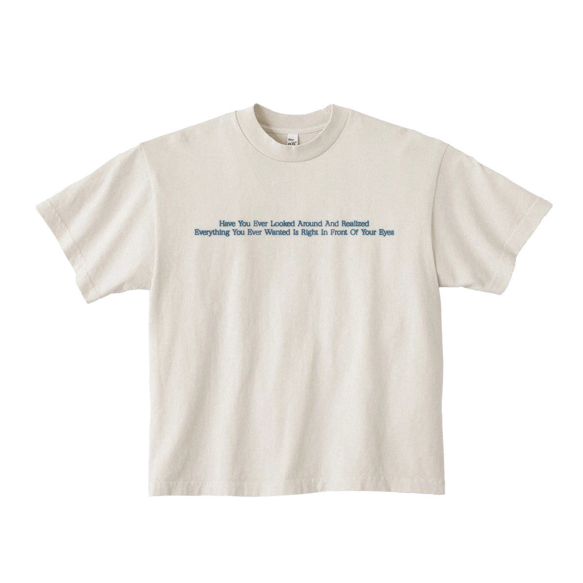Have You Ever Looked Around T-Shirt (PRE-ORDER)