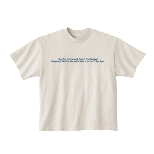 Have You Ever Looked Around T-Shirt (PRE-ORDER)